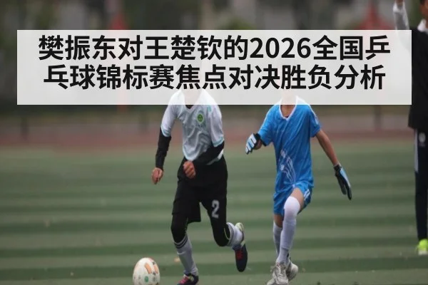 樊振东对王楚钦的2026全国乒乓球锦标赛焦点对决胜负分析